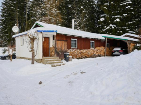 Holiday Home Chaloupka U lesa by Interhome, Harrachov